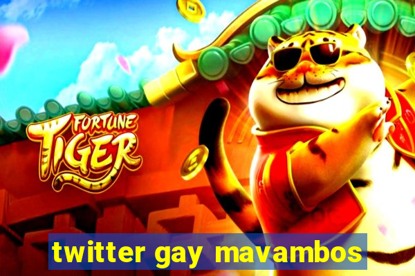 twitter gay mavambos